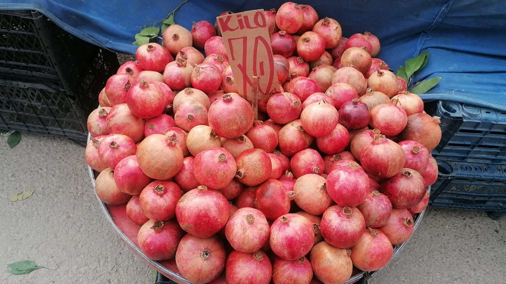 Elazığ'da halkı:  Meyveye hasret kaldık
