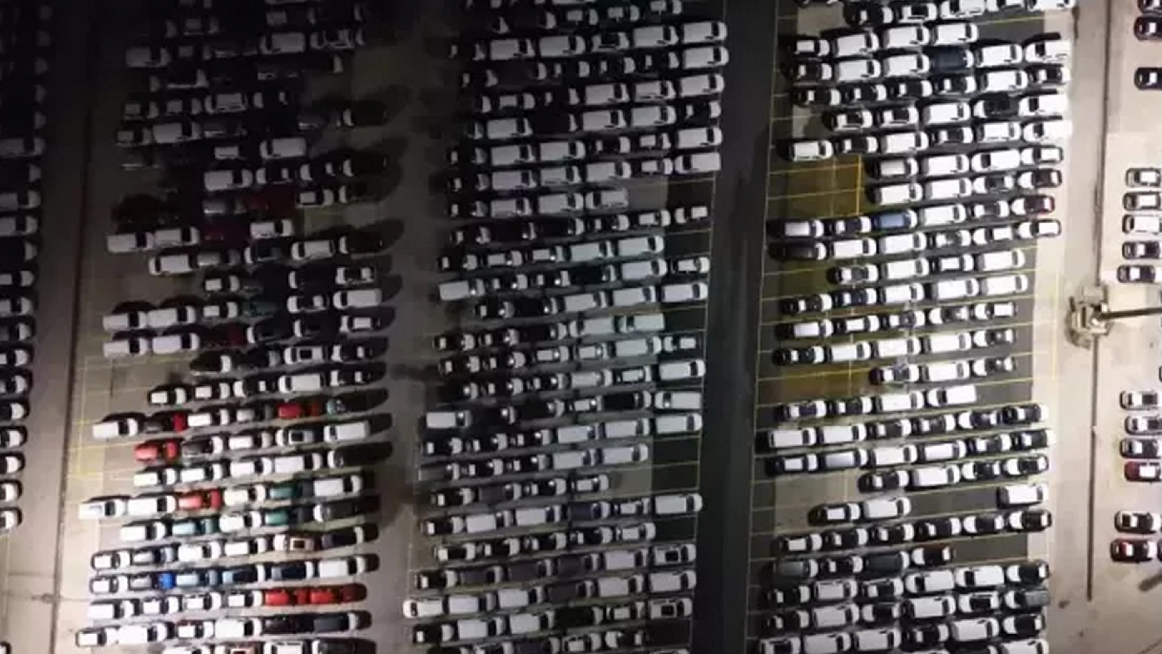 Görüntü Türkiye'den! Hepsi gece yarısı geldi