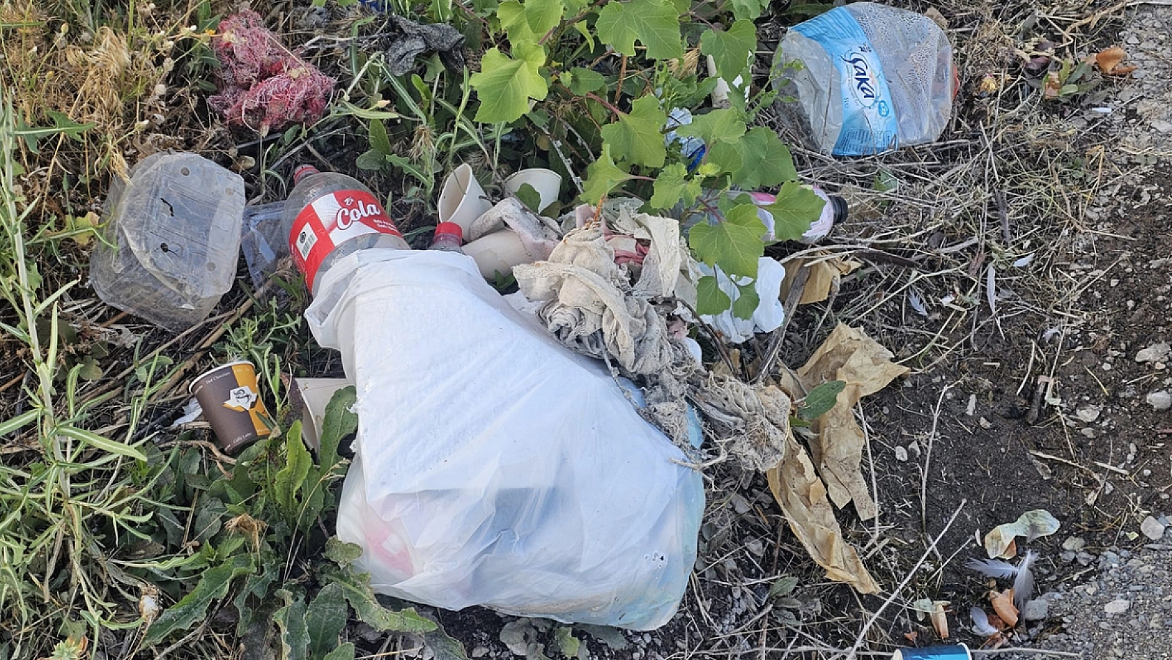 Hazar Gölü'nde çevre felaketi!