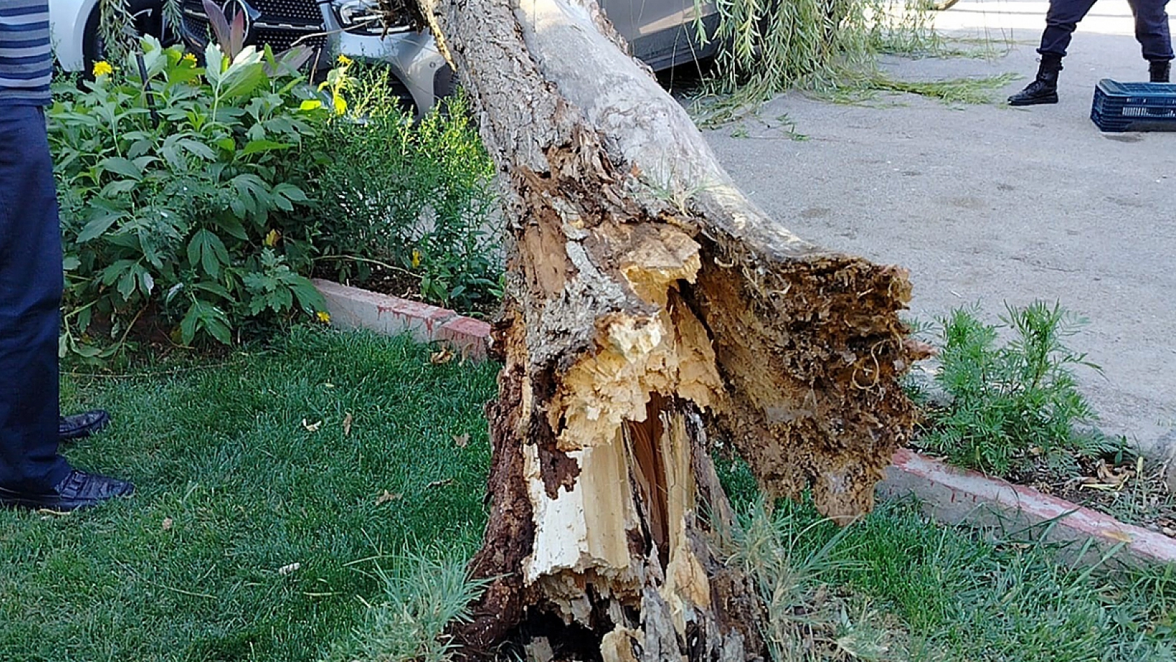 Elazığ'da fırtına dehşeti: 2 Araç hasar gördü