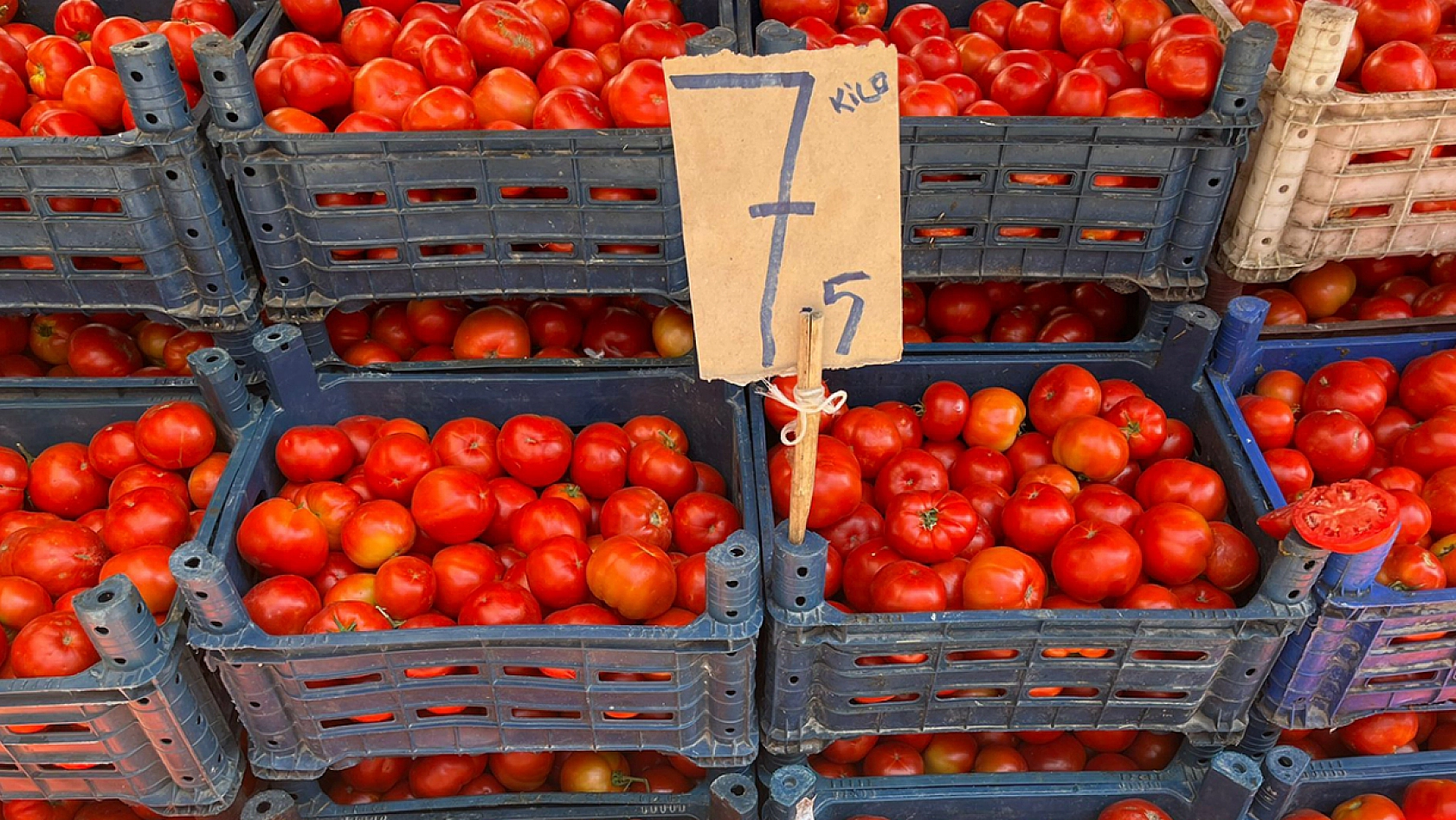 Elazığ'ın pazartesi pazarında güncel sebze-meyve fiyatları