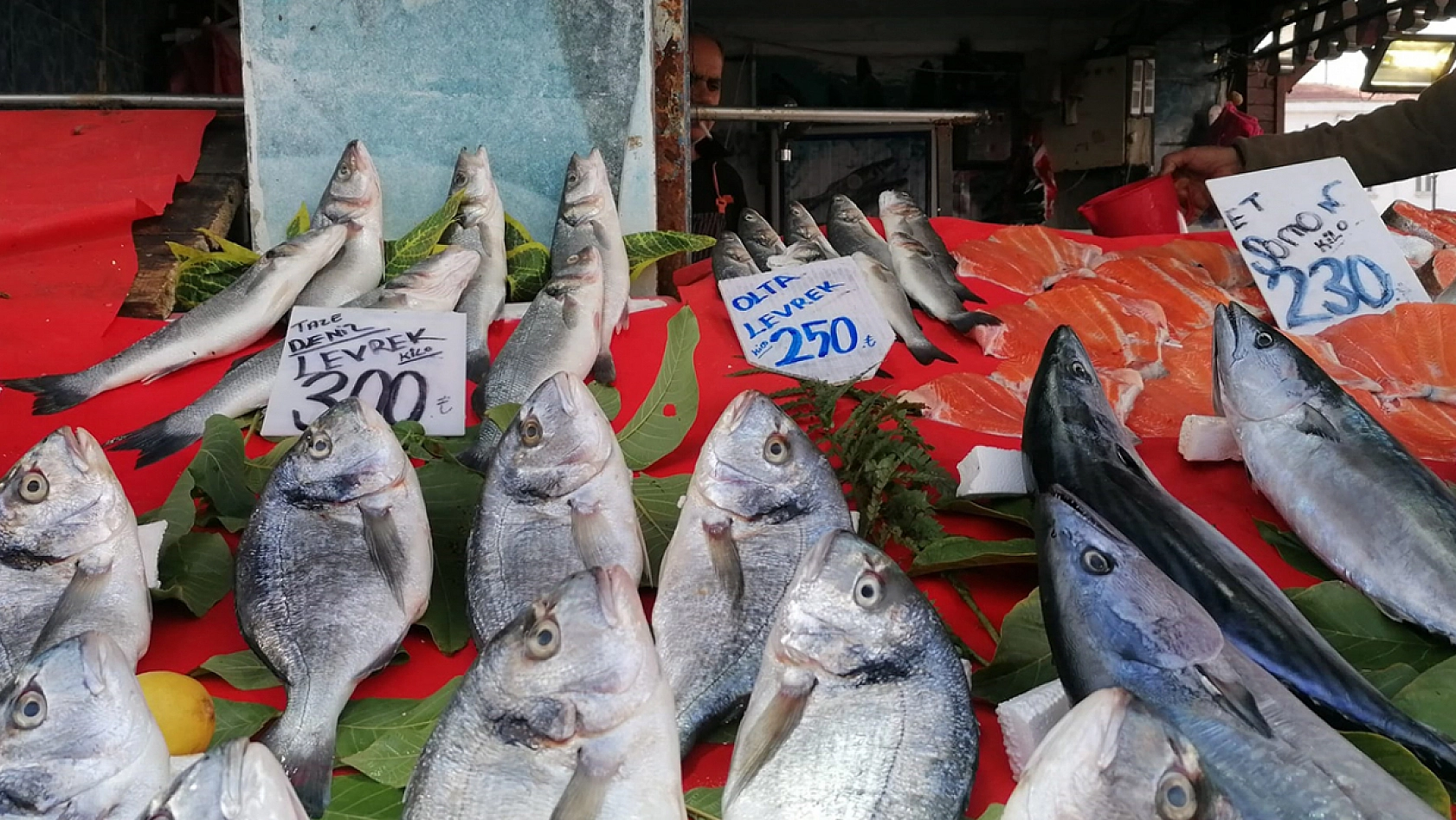 Elazığ'da güncel balık fiyatları
