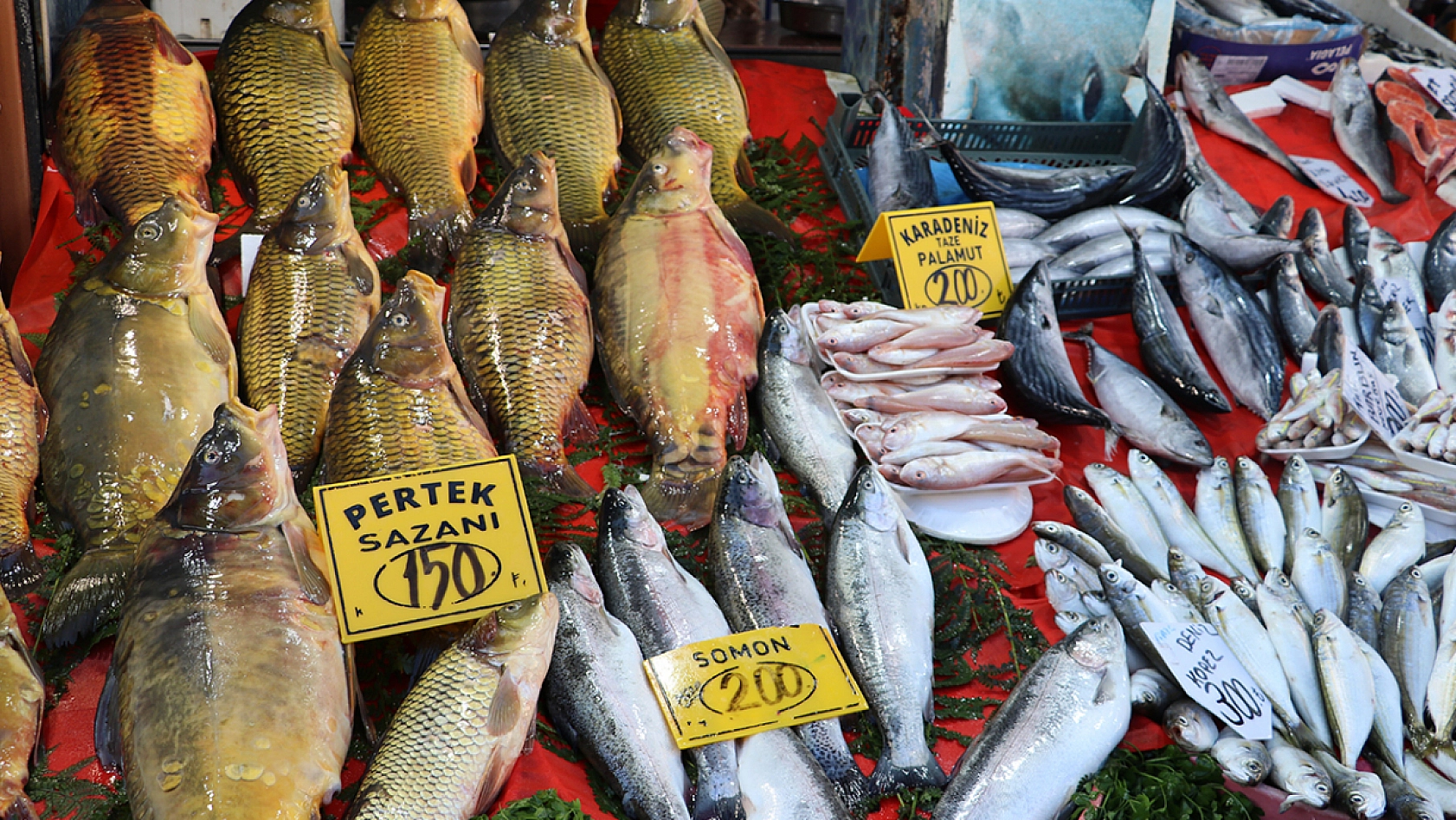 Elazığ'da balık fiyatlarında son durum ne? İşte güncel balık fiyatları…