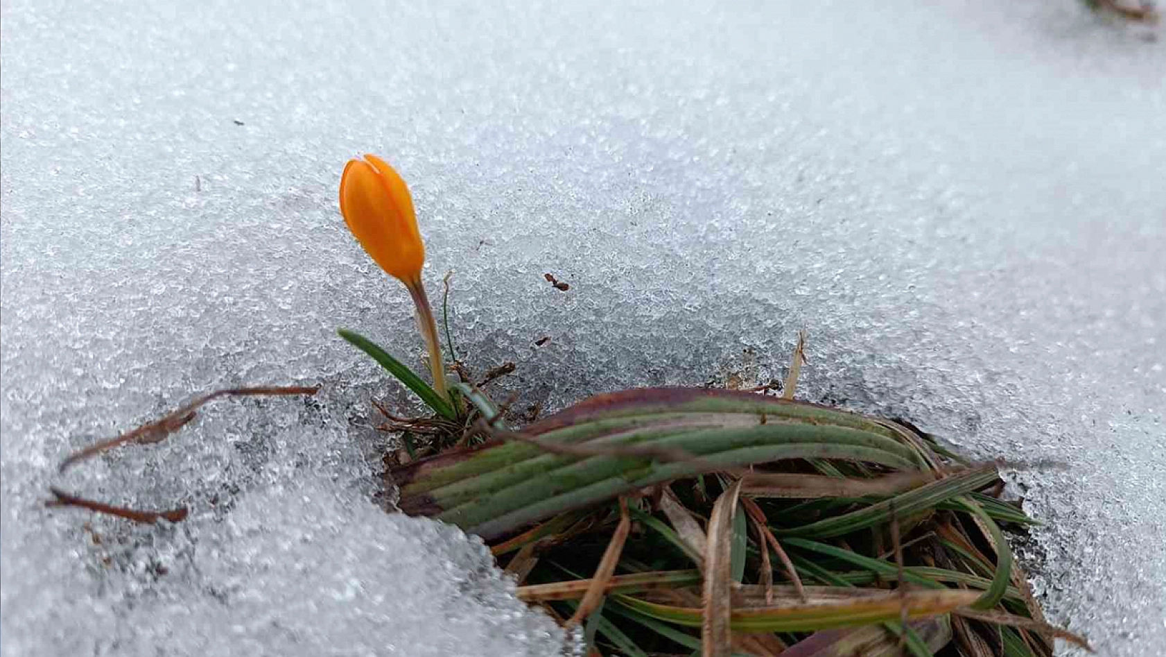 Elazığ'a cemre ne zaman düşecek?