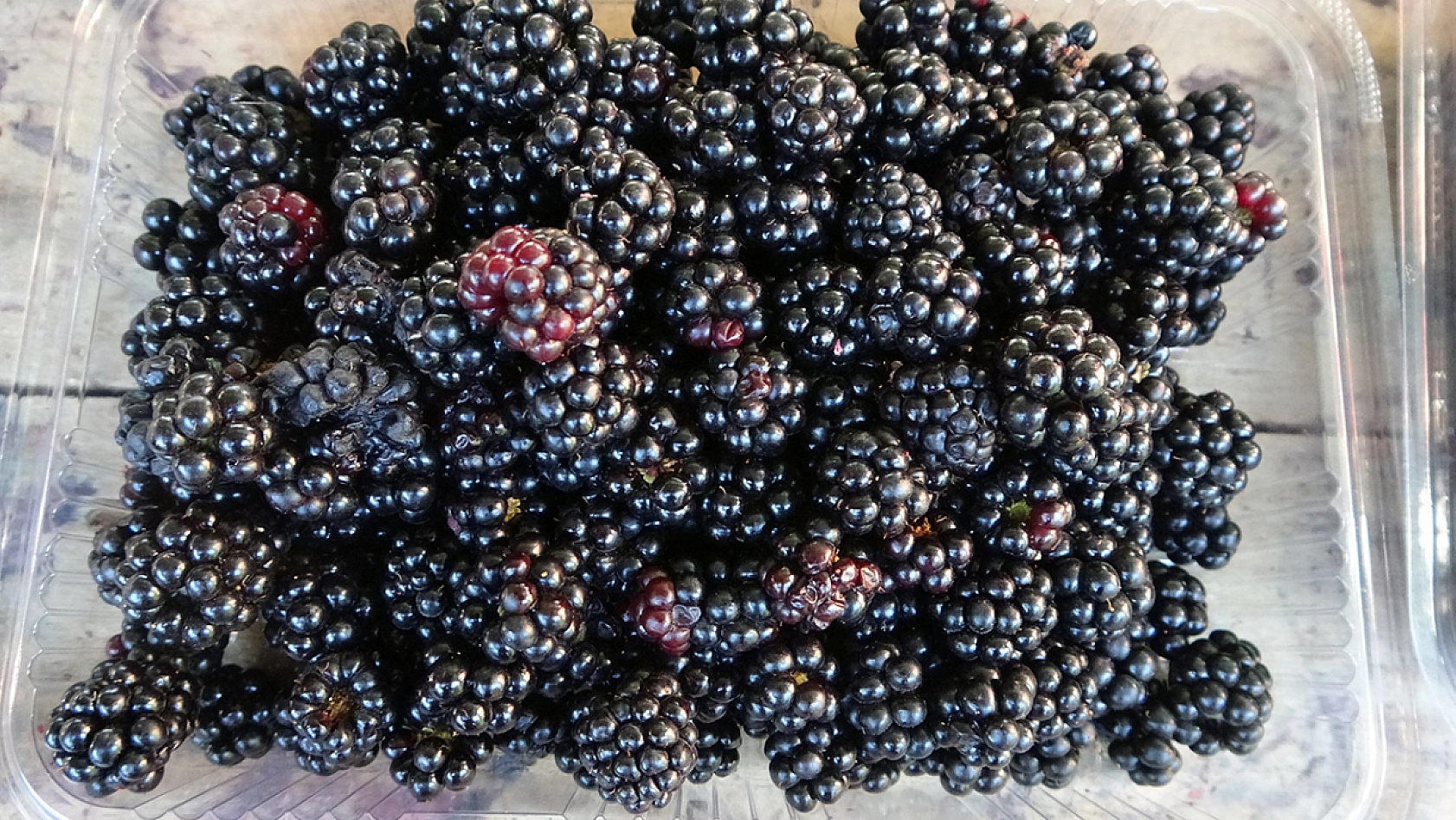 Malatya'da tarımsal üretimde çeşitlilik: Yeni projelerle üreticiye destek