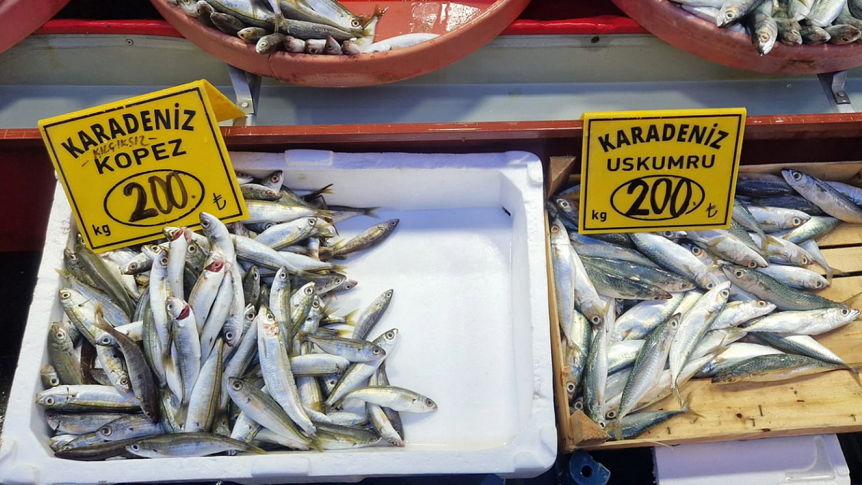 Elazığ'da havalar soğudukça balık tezgahları şenleniyor