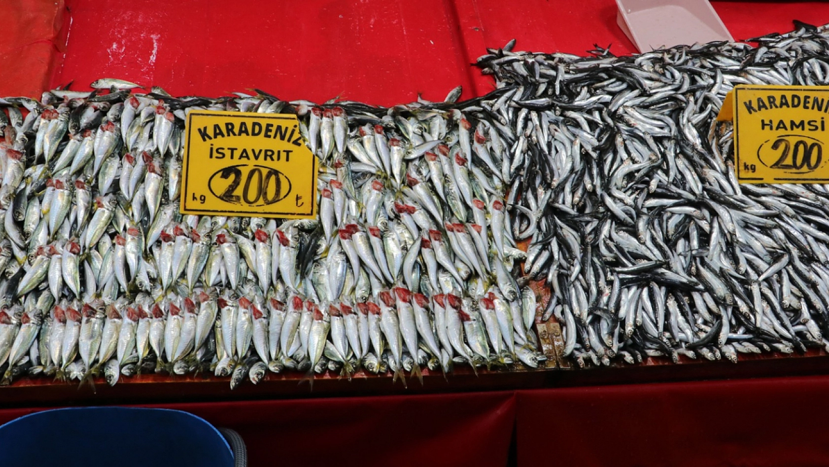 Elazığ'da balığa talep azaldı mı?