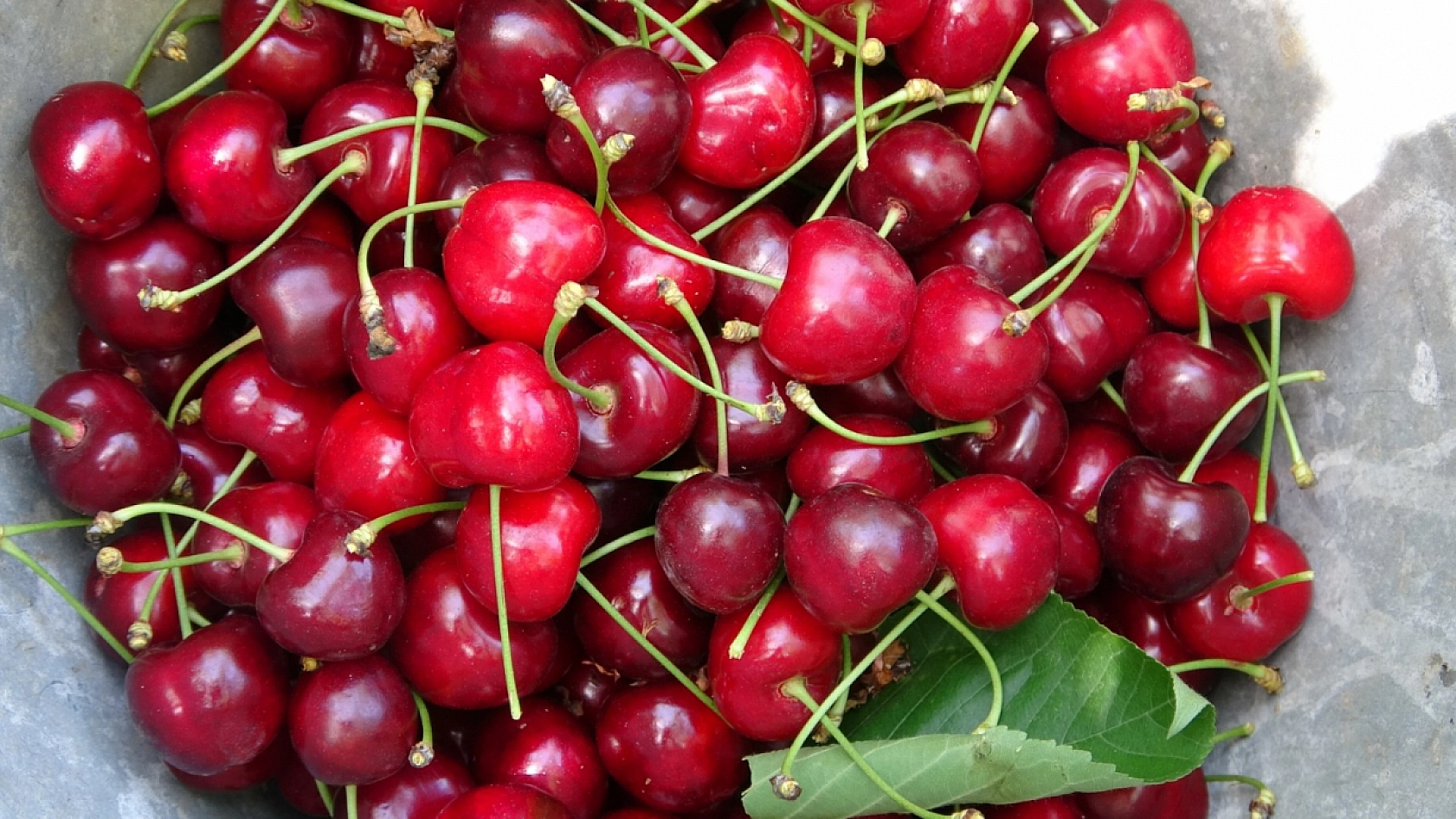 Elazığ'ın Gözdesi 75 Liradan Tezgahlardaki Yerini Aldı!