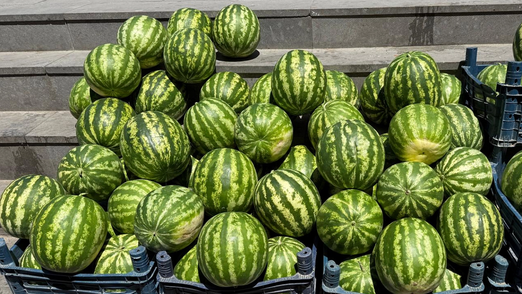 Elazığ'da vatandaşta mutluluk üreticide hüzün var