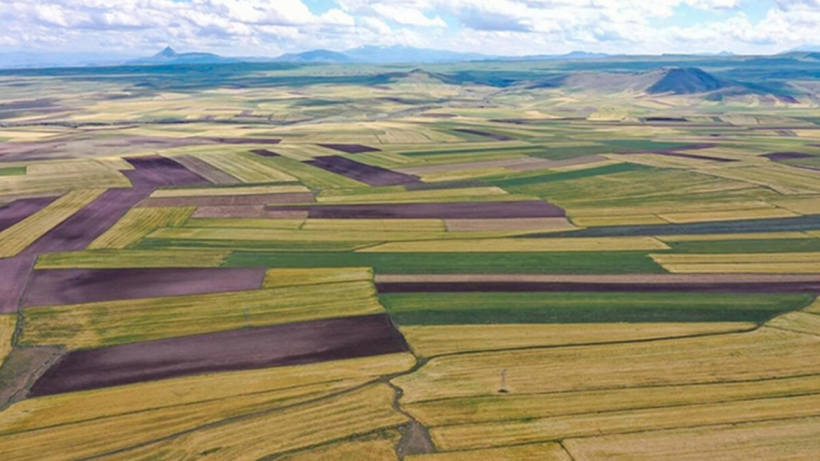 Milli Emlak Elazığ'da konut alanını satışa çıkardı