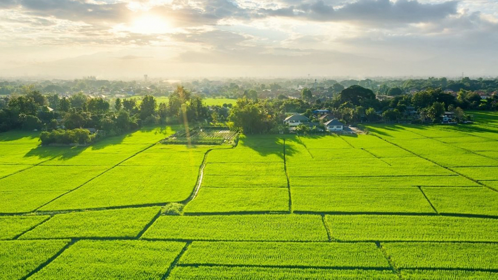TOKİ, Elazığ dahil 25 ilde uygun fiyatlı arsa satışına başladı! İşte detaylar...