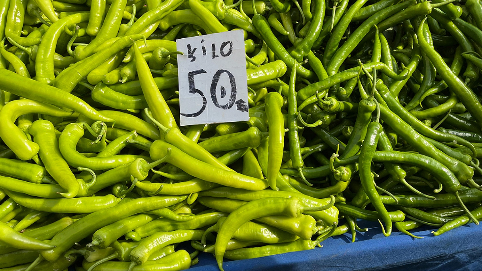 Elazığ semt pazarında güncel meyve ve sebze fiyatları