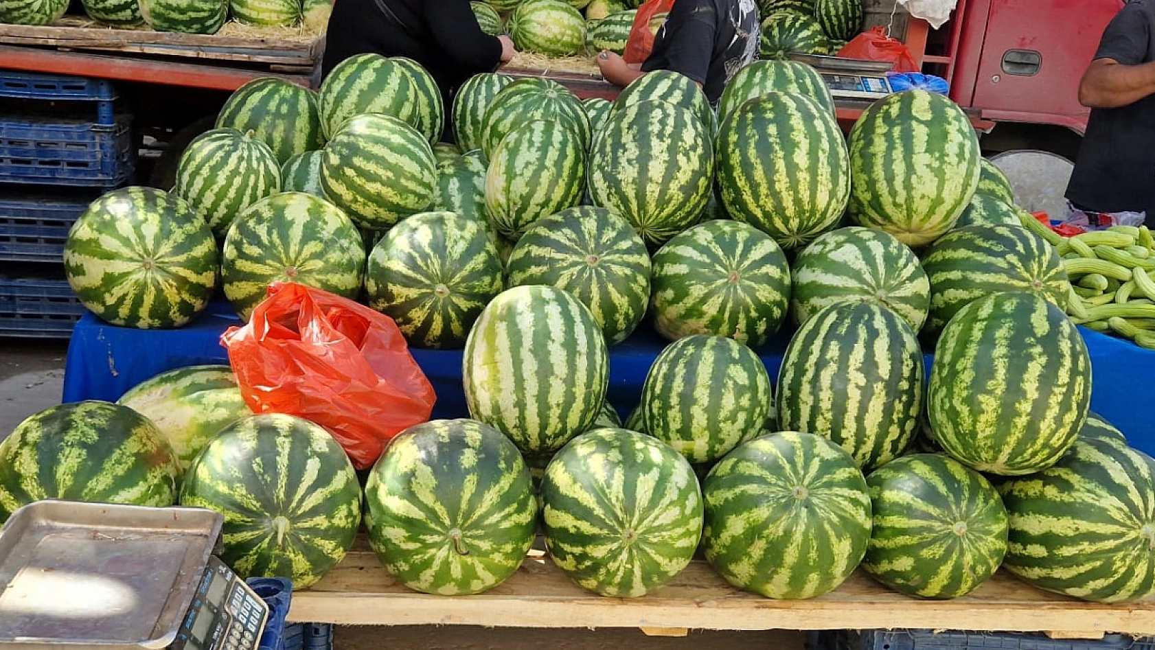 Elazığ'da meyve fiyatları cep yakıyor