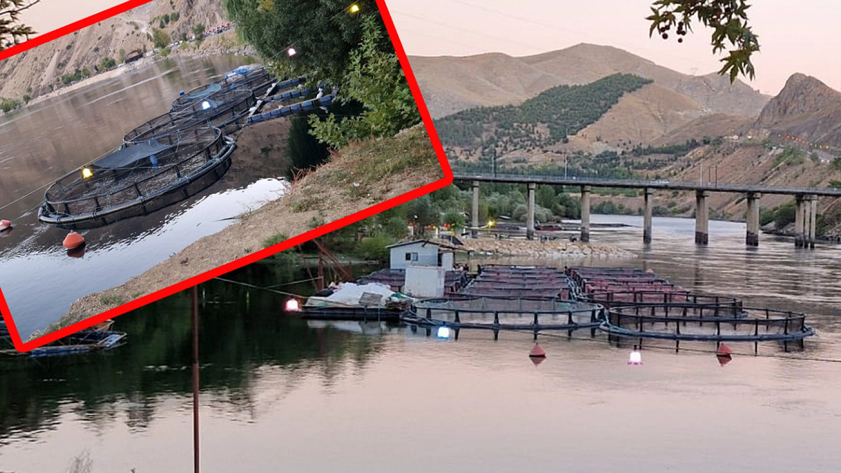 Elazığ'da bir işletmenin 20 yıllık büyüme ve yurt dışına açılma hikayesi