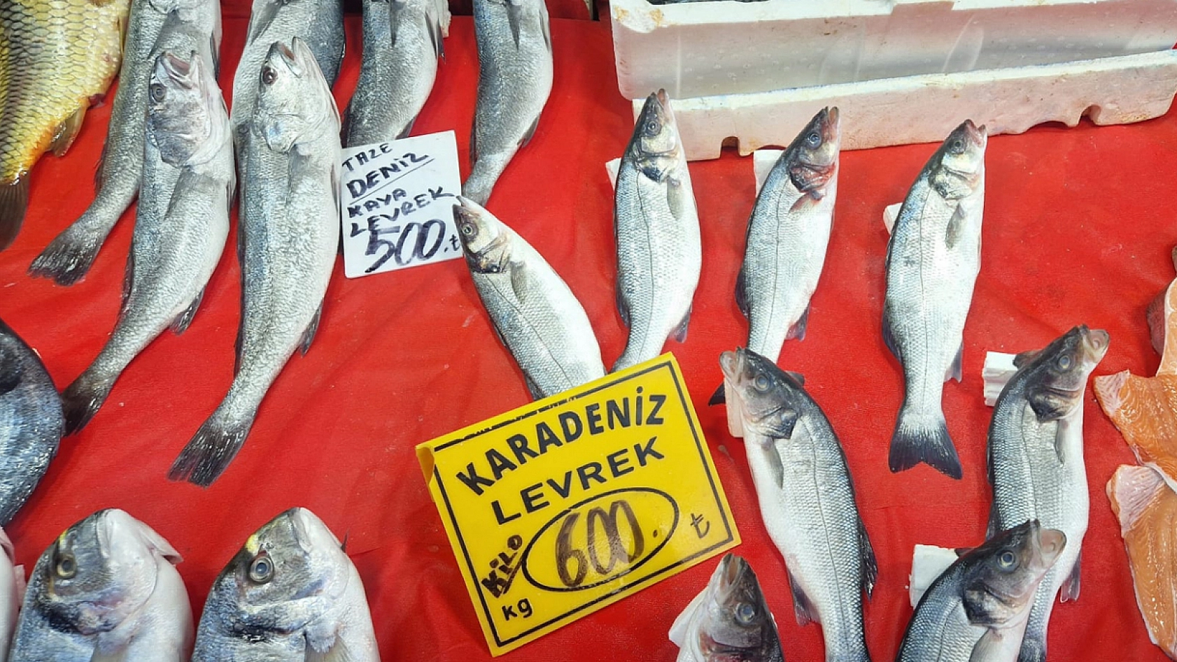 Elazığ'da havalar soğudukça balık tezgahları şenleniyor