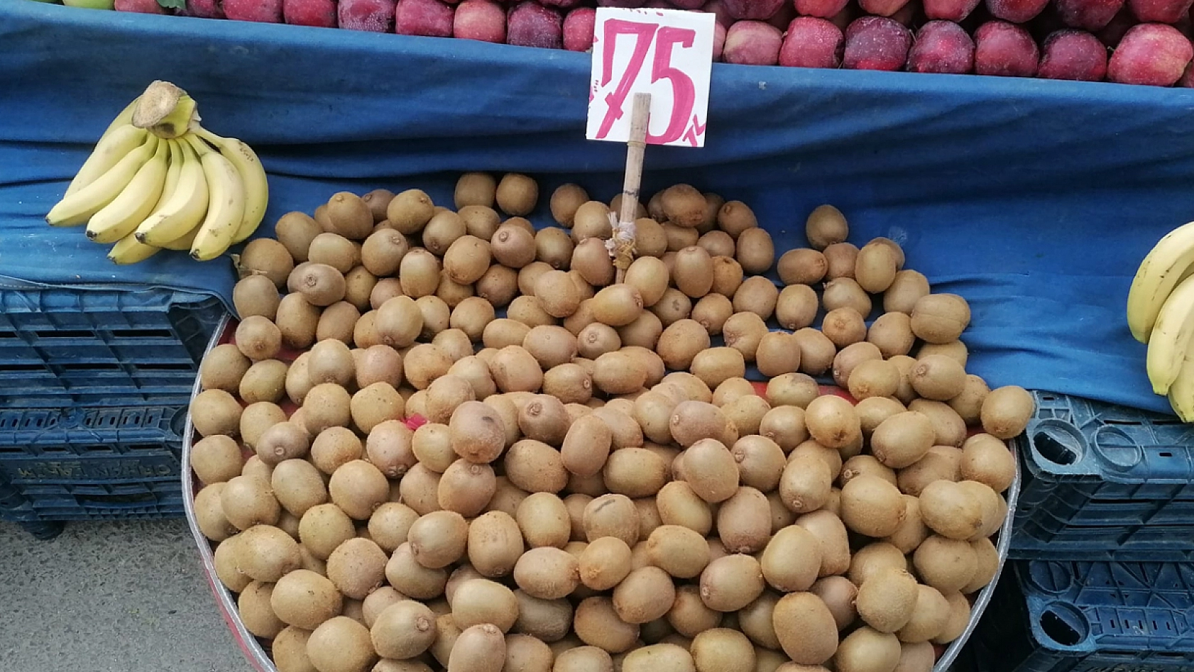 Elazığ'da halkı:  Meyveye hasret kaldık