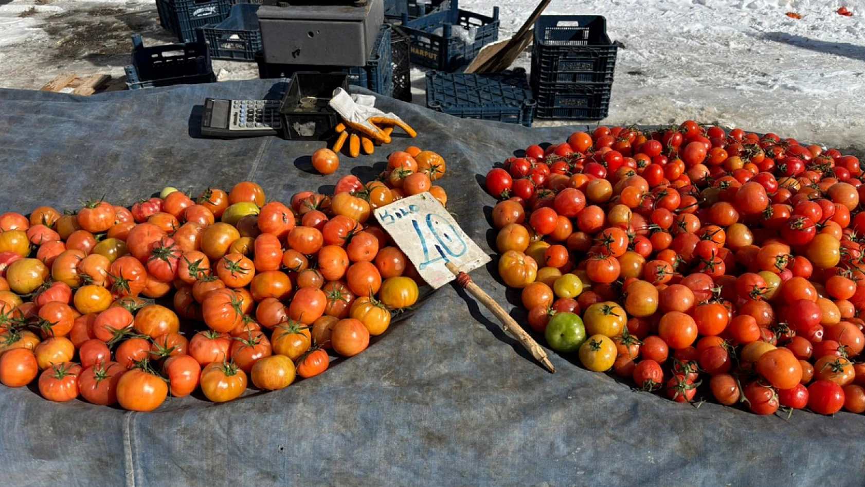 Elazığ'da soğuk ve rüzgara rağmen pazar kuruldu, fiyatlar sabit kaldı