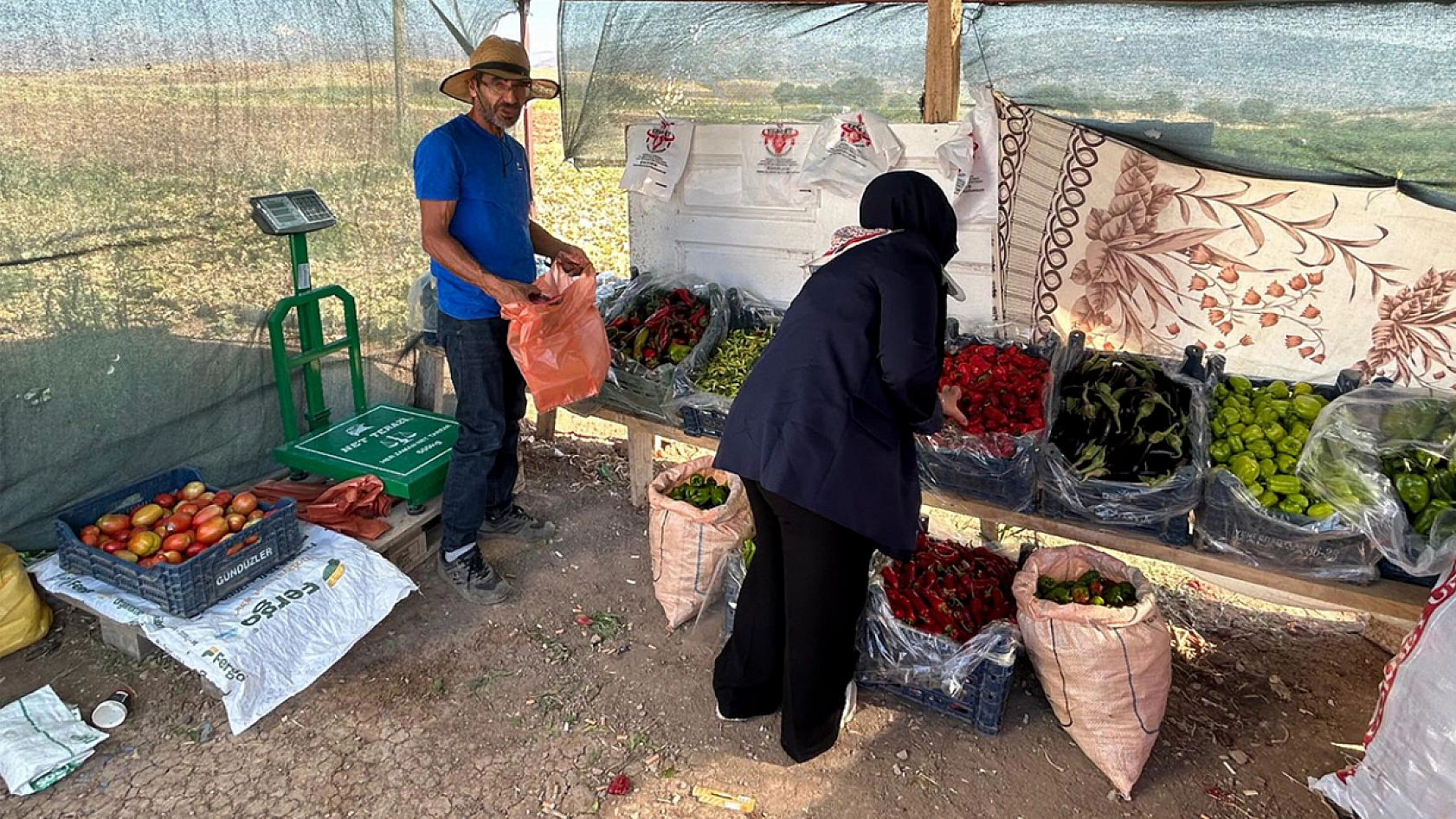 Elazığ'da tarladan sofraya uygun fiyatlı sebze