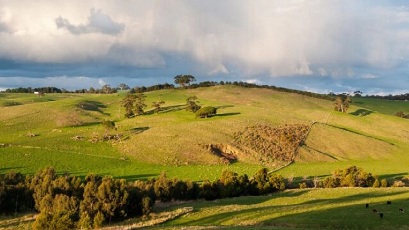 Elazığ'da arazi sahiplerine müjde: Devlet desteği kapsamında ödemeler başlıyor!