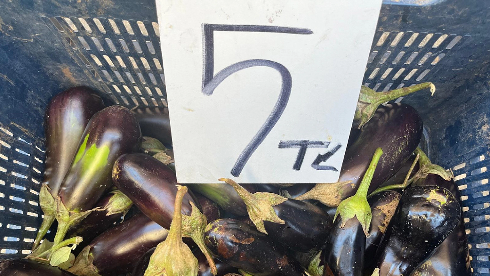 Elazığ semt pazarında güncel fiyatlar nasıl?