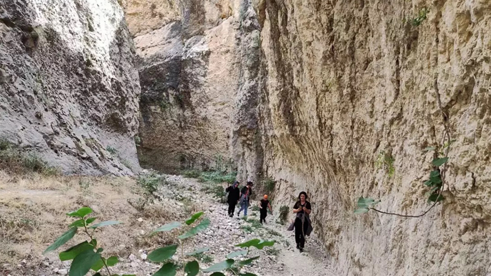 Elazığ'da bu sorun yıllardır konuşuluyor ancak icraat 'sıfır'