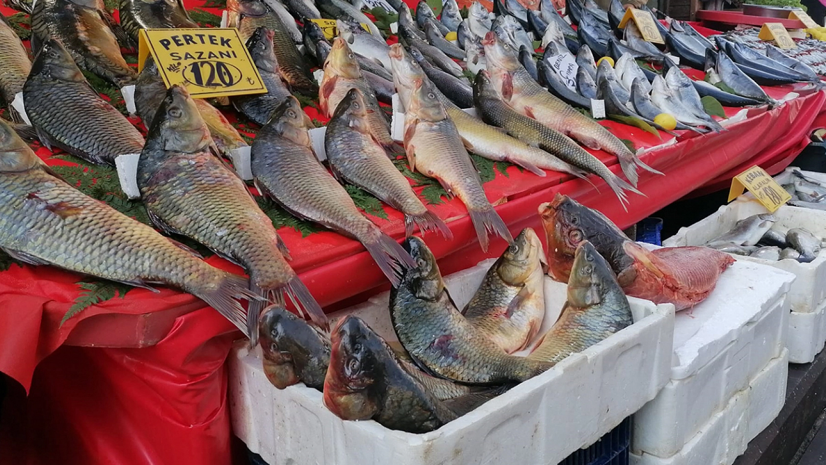 Elazığ'da güncel balık fiyatları