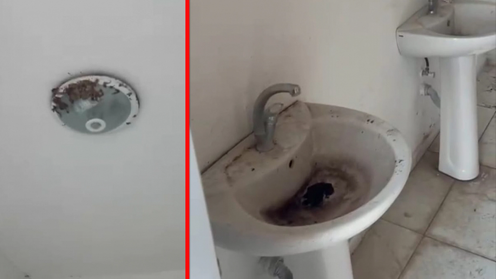 Tarihi Palu Köprüsü çöpler içinde kaldı