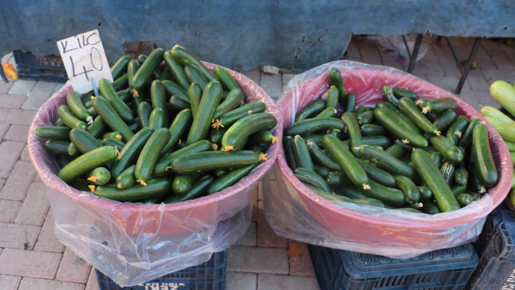 Elazığ'da fiyatları duyan pazara koşuyor