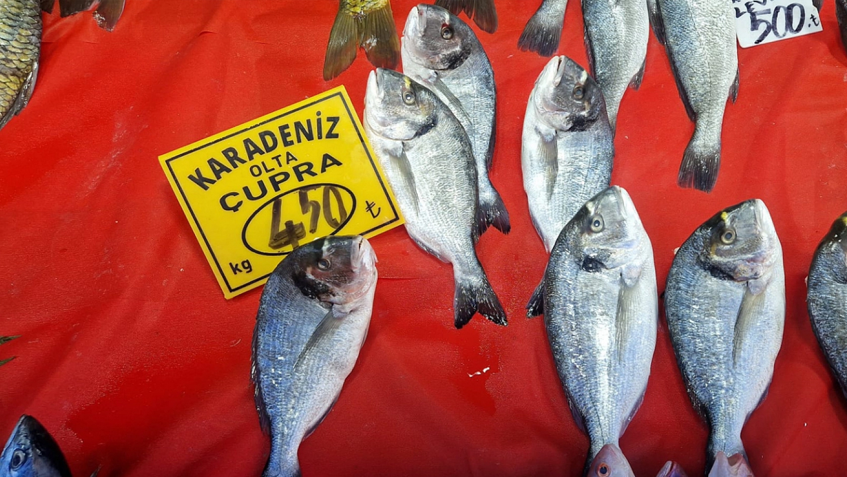 Elazığ'da havalar soğudukça balık tezgahları şenleniyor