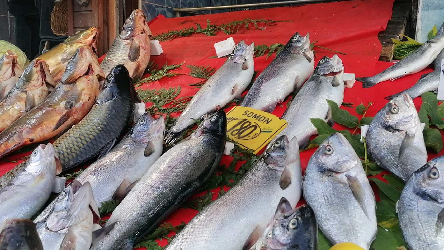 Elazığ'da güncel balık fiyatları
