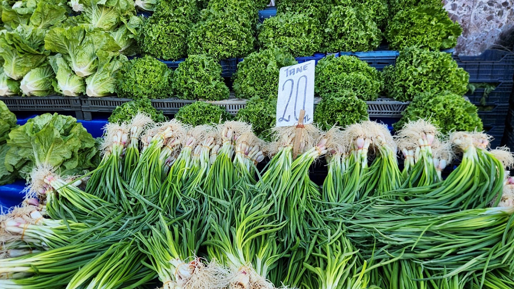 Elazığ'da 2024'ün son pazarı