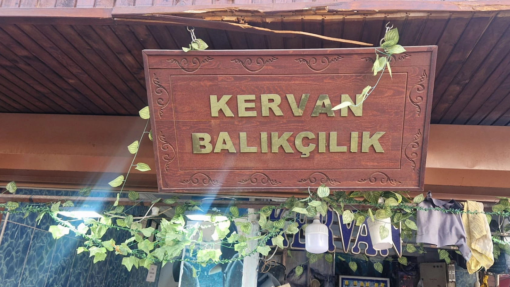 Elazığ'da balık sezonu açıldı: En sevilen balığın fiyatını duyanın dudağı uçukluyor