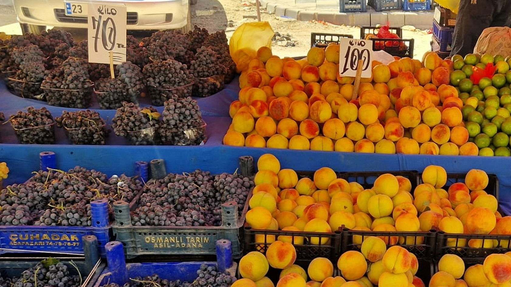 Elazığ'da meyve fiyatları cep yakıyor