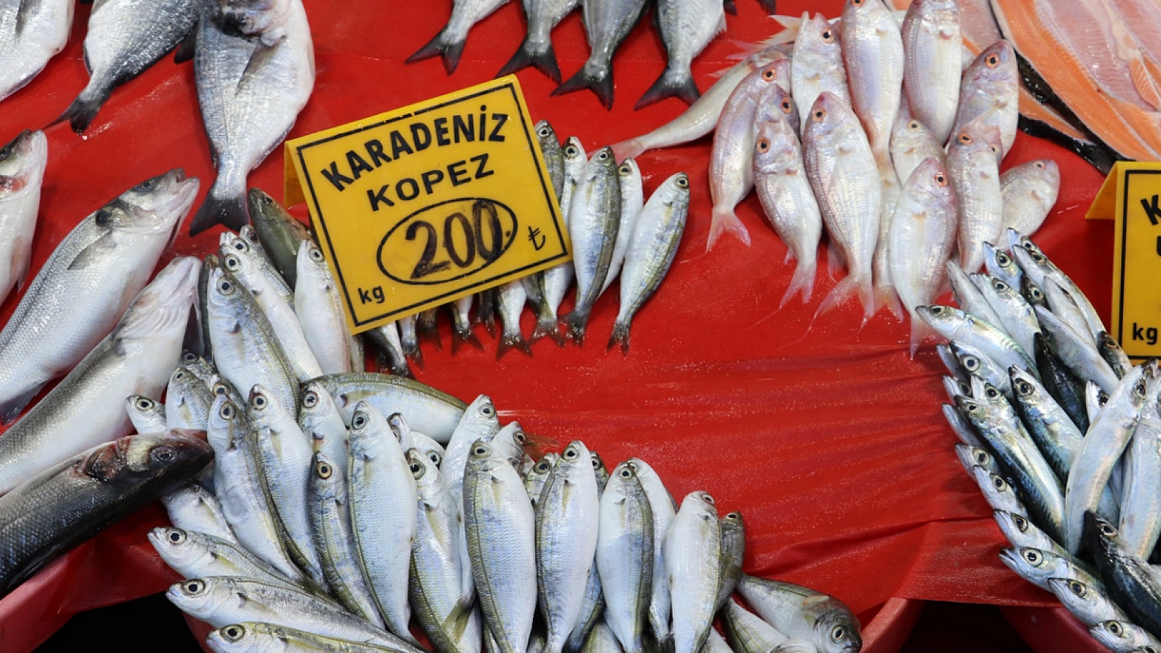 Elazığlı vatandaştan balık fiyatlarına tepki: 'Bunun pulları altından mı'