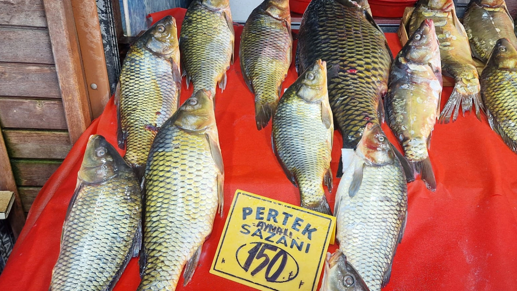 Elazığ'da havalar soğudukça balık tezgahları şenleniyor