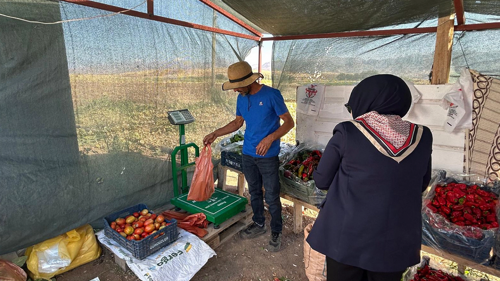 Elazığ'da tarladan sofraya uygun fiyatlı sebze