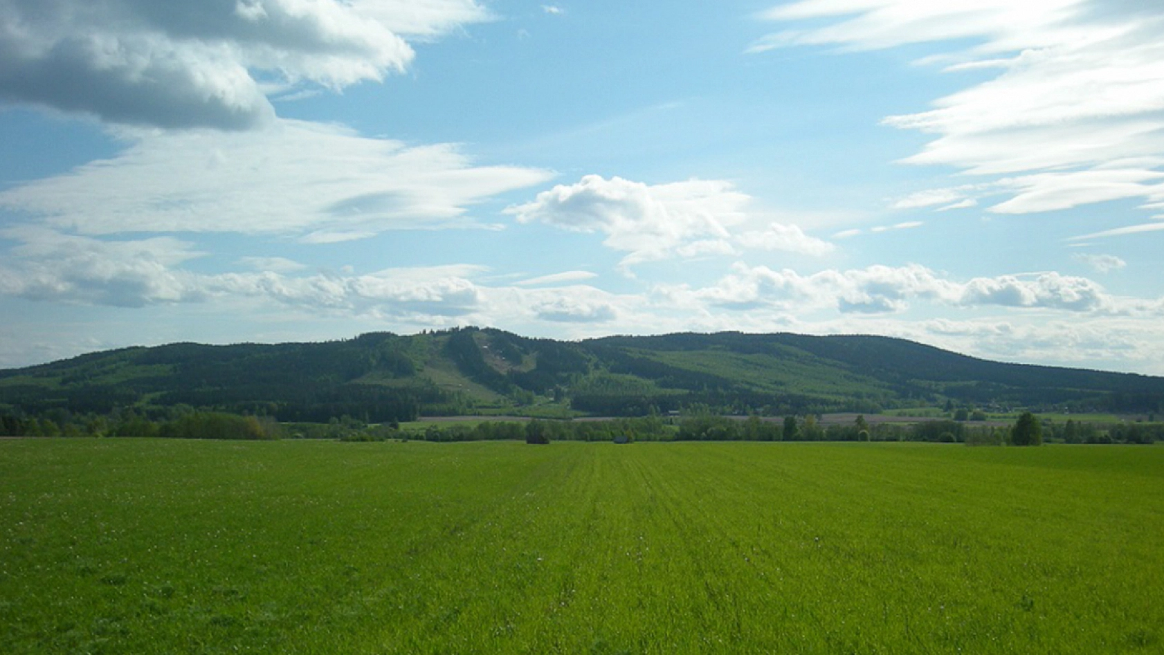 Elazığlılar, bu fırsat kaçmaz! İndirimli arsa satışı başlıyor!