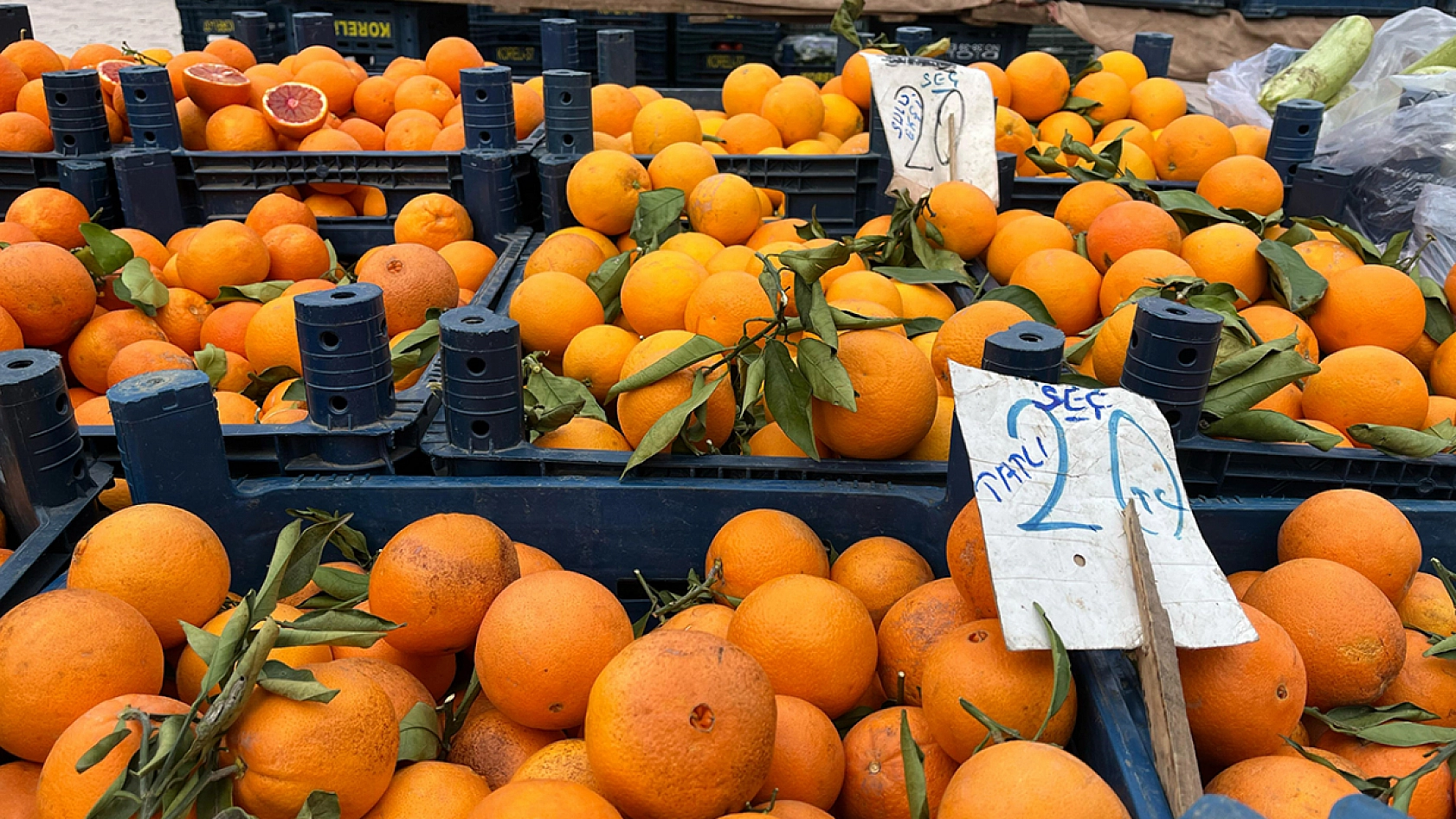Elazığ'da son haftaların en düşük fiyatları, pazarlara bahar geldi