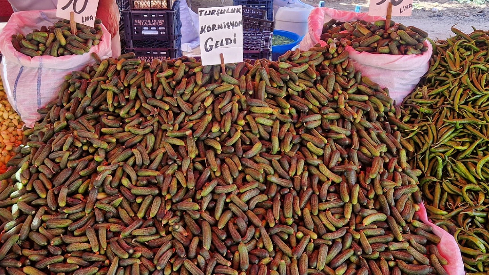 Elazığ'da turşu sezonu başladı: İlk mahsuller tezgahlarda