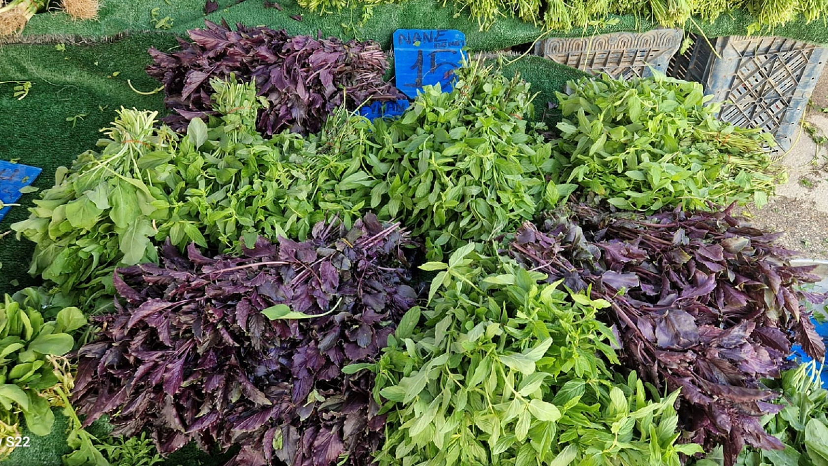 Elazığ'da pazarcılar: 'Yeşillikte verim yüksek, fiyatlar uygun'