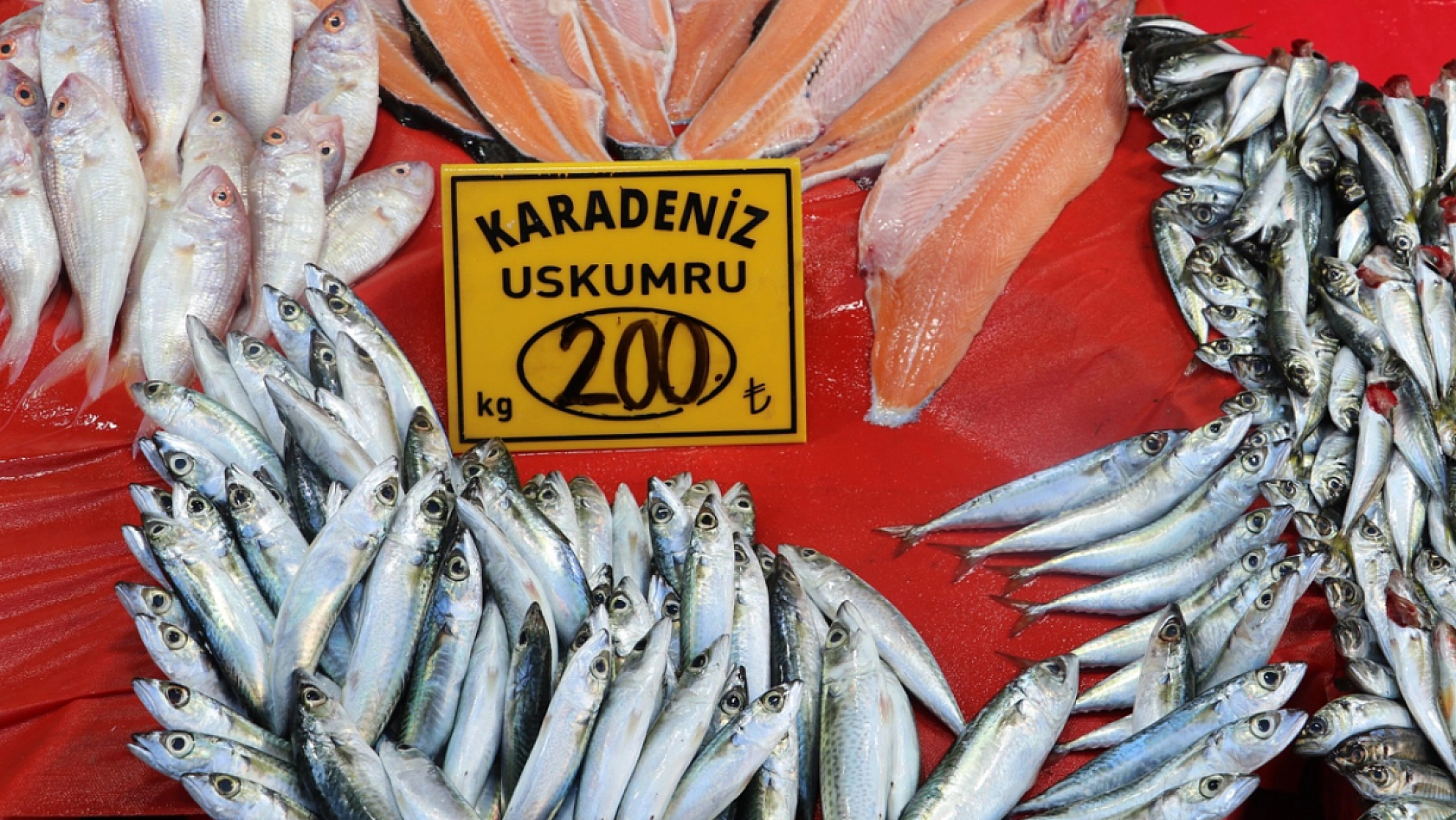 Elazığlı vatandaştan balık fiyatlarına tepki: 'Bunun pulları altından mı'