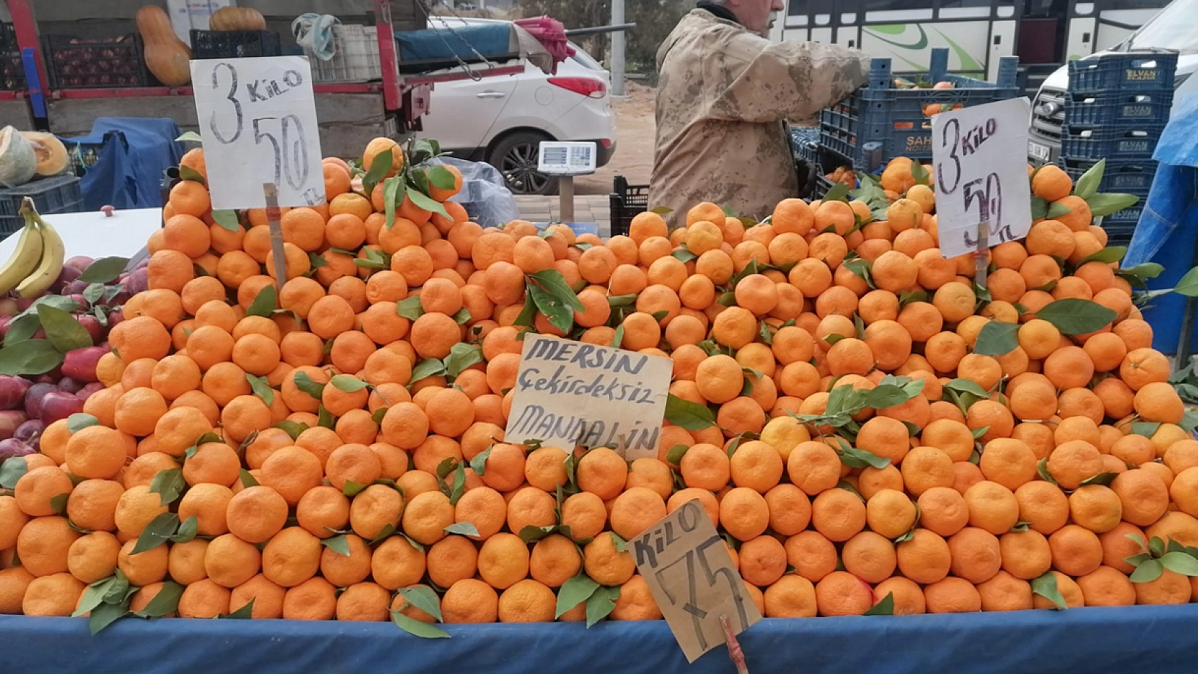 Elazığ'da halkı:  Meyveye hasret kaldık