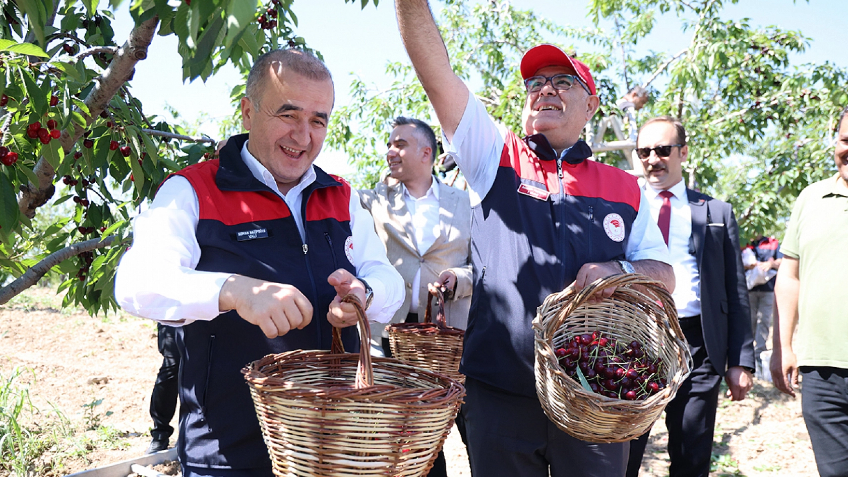 Elazığ'da donu unutturan kiraz hasadı