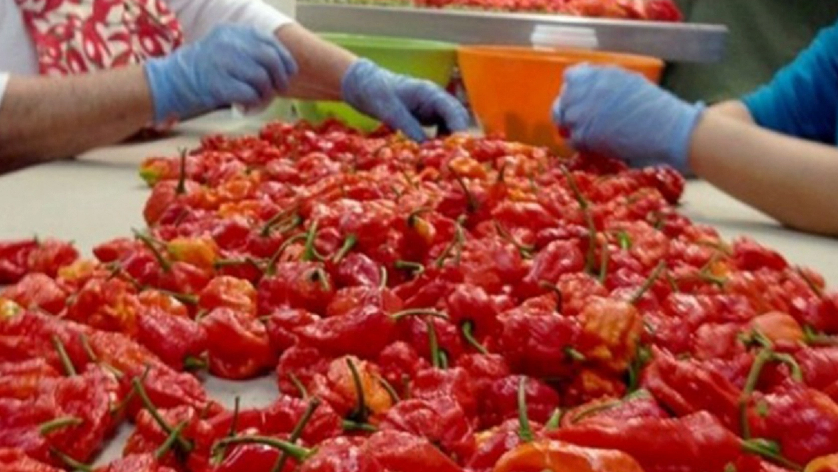 Acı tüketenleri üzecek haber!