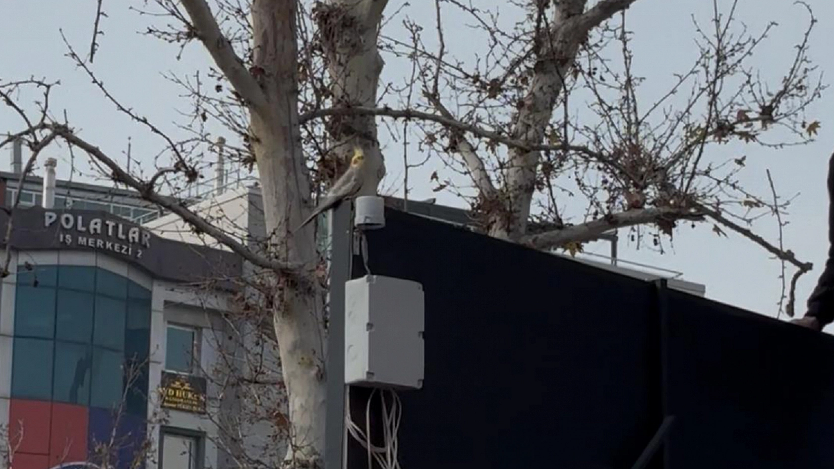 PTT Meydanı'nda Yürek Burkan Anlar