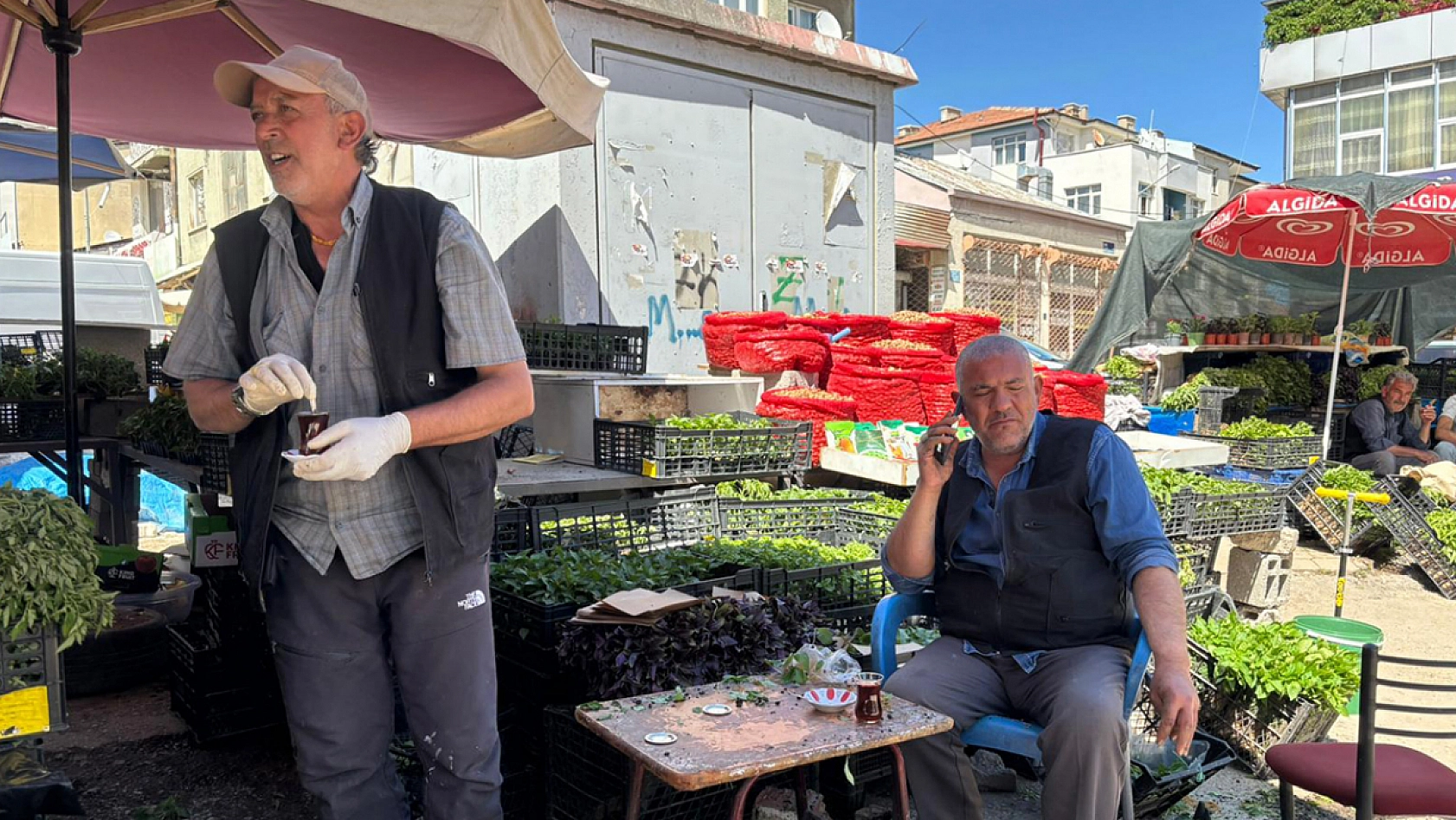 Elazığ'dan dünyaya ata mirası