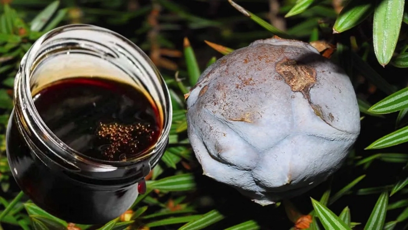 Hemşerimizin gizli reçetesi, hem tok tutuyor hem zayıflatıyor