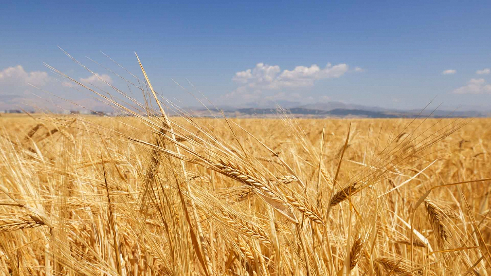 Elazığ'ı Çok Zor Günler Bekliyor!