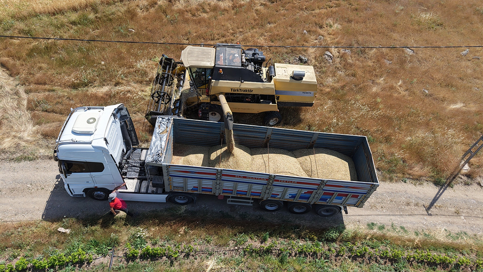 Elazığ'da arpa hasadı başladı ama çiftçi memnun değil