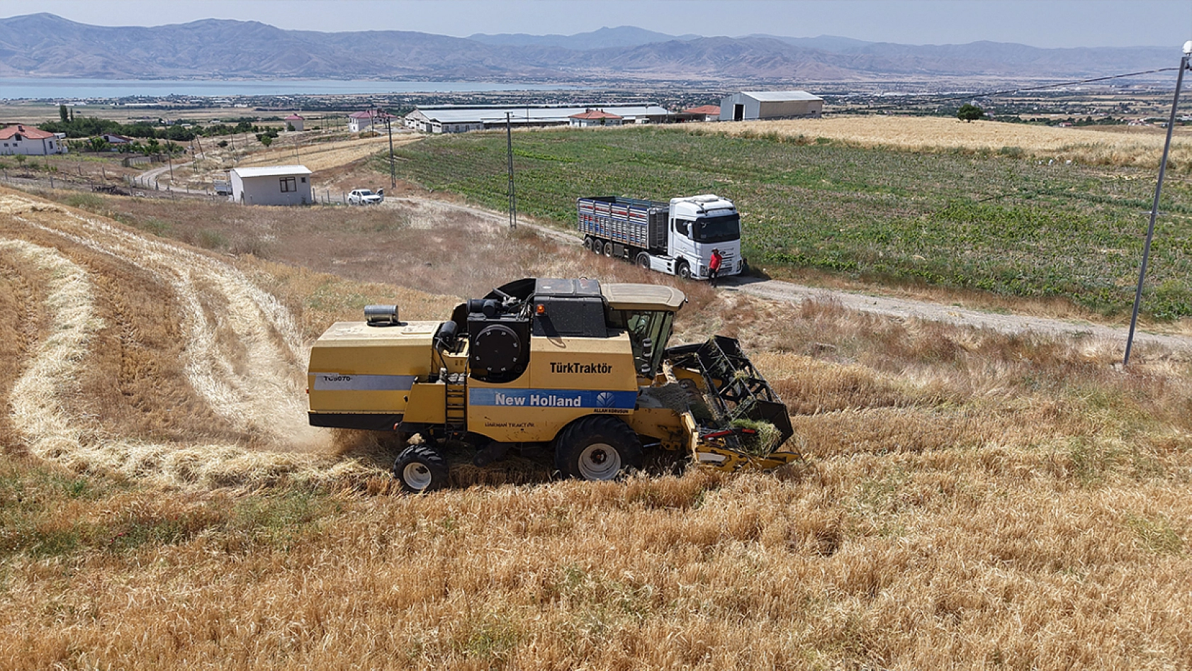 Elazığ'da arpa hasadı başladı ama çiftçi memnun değil